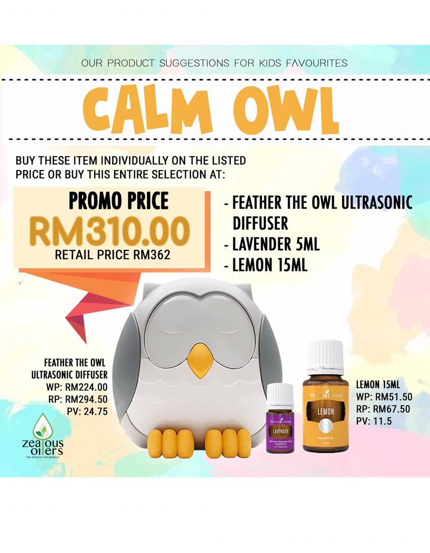 Calm Owl Promo