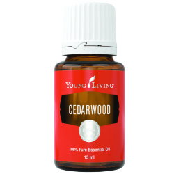 Essential oil cedarwood