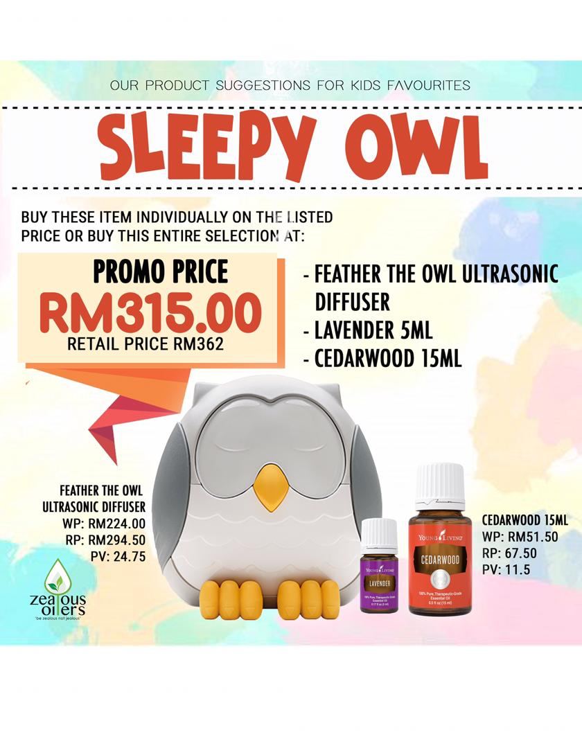 Sleepy Owl Promo